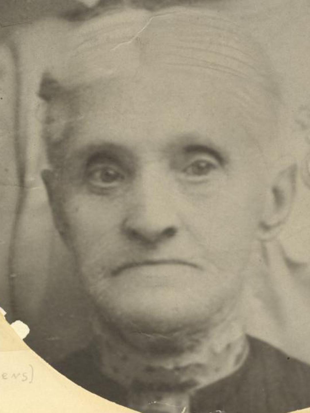 Ellen Ashton (1829 - 1911) Profile
